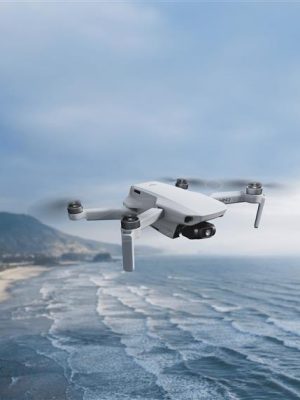 DJI Mini 2 SE Fly More Combo